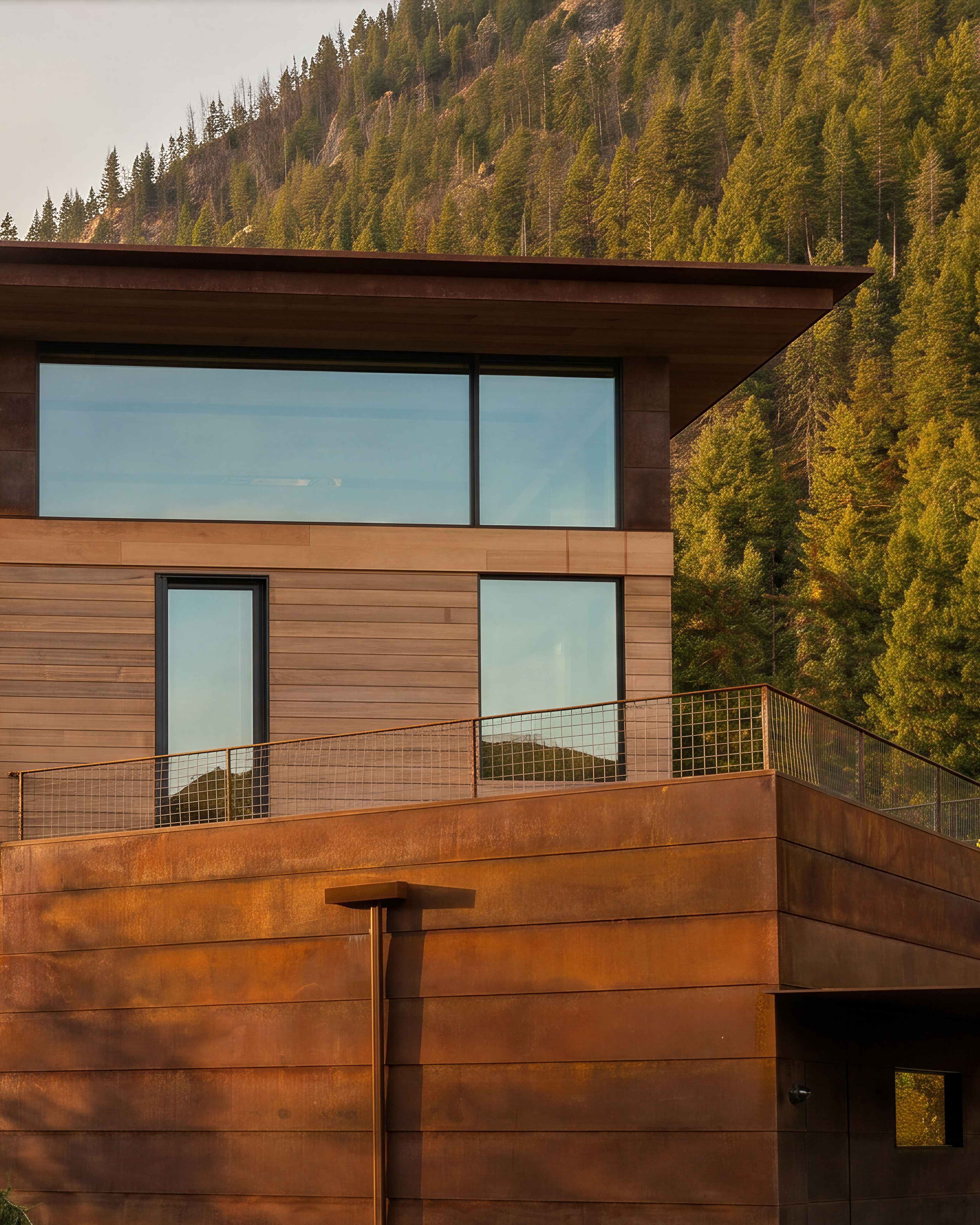 Balsam details 2